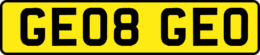 GE08GEO