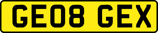 GE08GEX