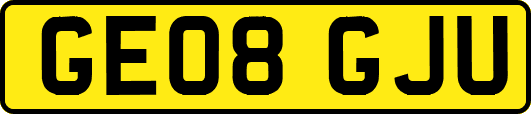 GE08GJU