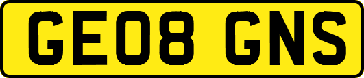 GE08GNS
