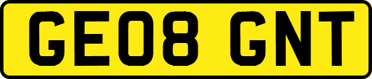 GE08GNT