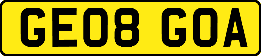 GE08GOA