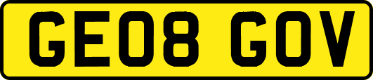GE08GOV