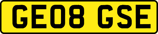 GE08GSE
