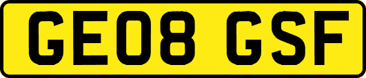 GE08GSF