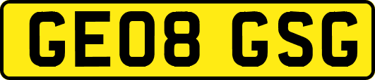 GE08GSG