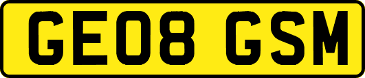 GE08GSM
