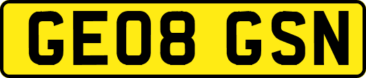 GE08GSN