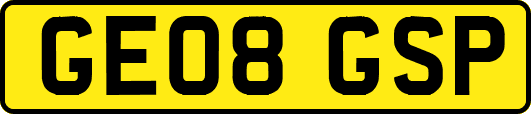 GE08GSP