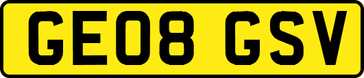 GE08GSV