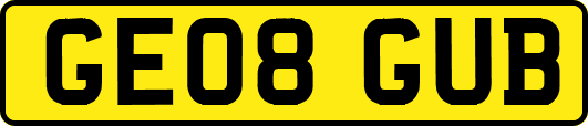 GE08GUB