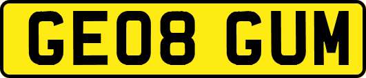 GE08GUM