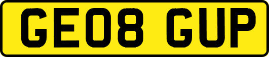 GE08GUP