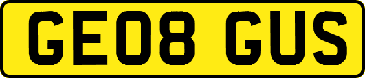 GE08GUS