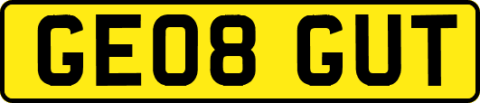 GE08GUT