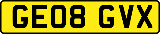 GE08GVX