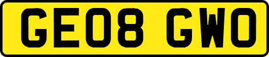 GE08GWO