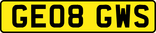GE08GWS