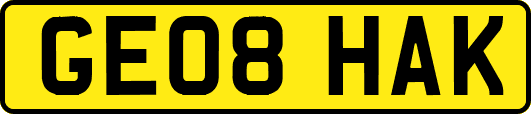 GE08HAK
