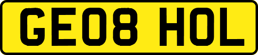GE08HOL