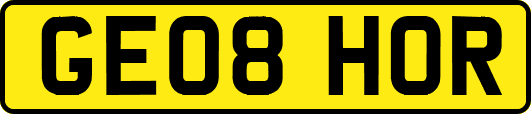 GE08HOR