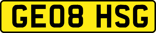 GE08HSG
