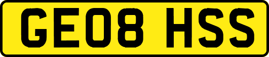 GE08HSS