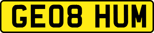 GE08HUM