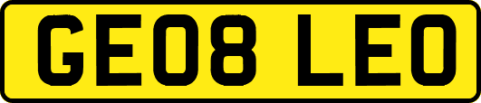 GE08LEO
