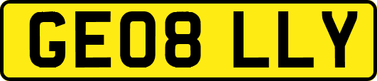 GE08LLY
