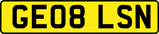 GE08LSN