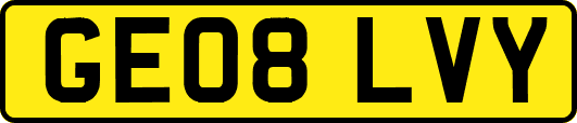 GE08LVY