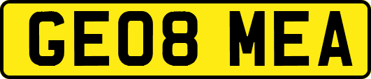 GE08MEA