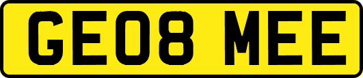 GE08MEE