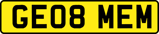 GE08MEM