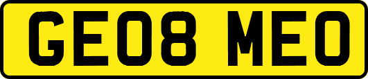 GE08MEO