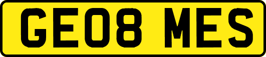 GE08MES