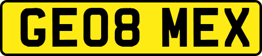 GE08MEX