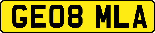 GE08MLA