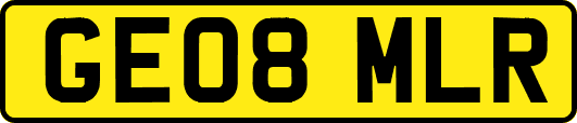 GE08MLR