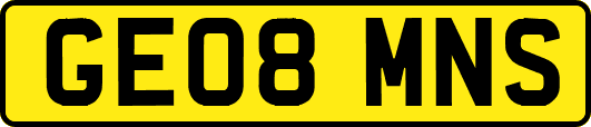GE08MNS