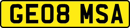 GE08MSA