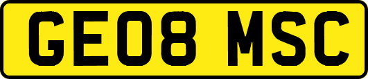 GE08MSC