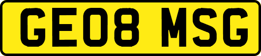 GE08MSG