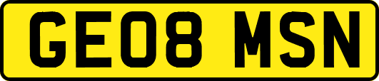 GE08MSN