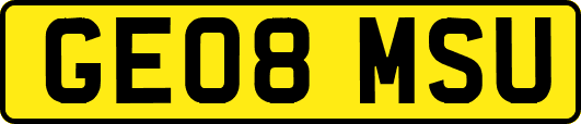GE08MSU