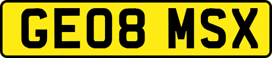 GE08MSX