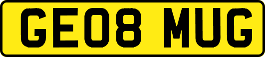 GE08MUG