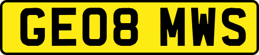 GE08MWS