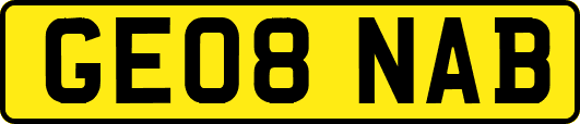 GE08NAB